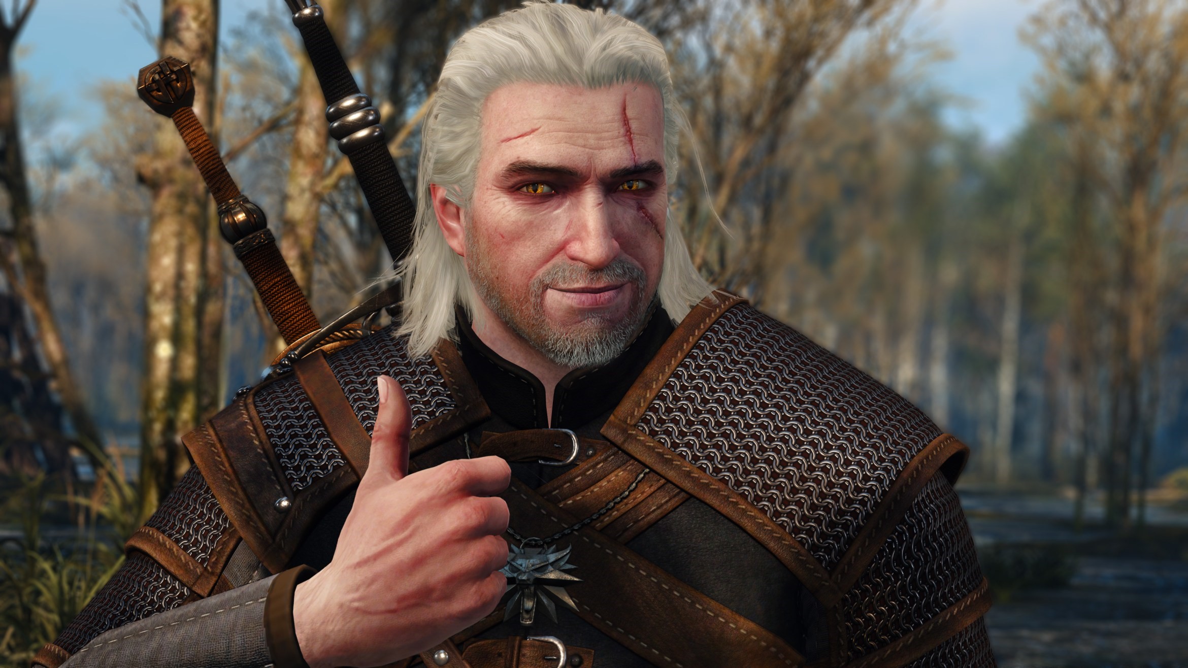 The Witcher 4